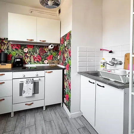 Modern Living At Loft Apartmán Těšín